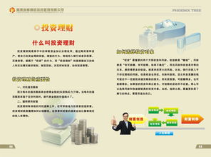 福建省梧桐树投资管理图册 投资管理的理论与实践